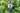 AgastacheTemp