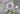 Astrantia Major