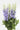 Delphinium 'Delphi'S Misty'