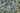 Eryngium Planum