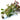 Ludwigia Repens