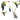 Pygmaea Alba (canina) water lily - pond plants - DW08
