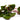 1 - 25 / Oxygenating Pond Water Plants - Water Chestnut - Floating Pond Plants - Pond Plants - Water Plants-2707