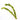 50 Live Aquarium Aquatic, Tropical Fish tank Plants, Live plants, Fresh, Cold water-813