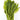 Amazon Swords - oxygen plant - aquarium plant - tropical plant-0