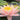 Barbara Dobbins water lily - pond plants - water lilies - aquatic plants-0