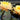 Inner Light water lily - pond plants water lilies aquatic plants-0