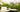 Chelsea Flower Show 2026 Gold | Lincolnshire Pond Plants