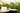 Chelsea Flower Show 2026 Gold | Lincolnshire Pond Plants