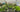 Our BBC Gardeners World Live Awards