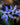 Scilla Siberica