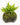 Plants On Decor