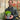 Hebe 'Emerald Gem' 'Green Globe' 9cm / 1L / 2L / 7.5L