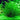 Fontinalis Antipyretica - 10 Bunches - Oxygenating Pond Plant - Fish or wildlife pond and bog aquatic plants
