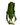 Aponogeton boivinianus