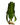 Aponogeton boivinianus - AQ022