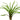 Cryptocoryne balansae, live aquarium plant