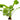 Echinodorus 'Ozelot', Amazon sword, live aquarium plant