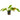 Echinodorus 'Ozelot', Amazon sword, live aquarium plant