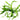 Helanthium bolivianum 'Vesuvius', chain sword, live aquarium plant