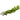 Lysimachia nummularia, creeping Jenny, marginal pond plant