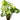 Syngonium 'White Butterfly', arrowhead vine, live terrarium plant