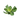 Pistia Stratiotes - AQ192