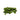 Salvinia natans, floating watermoss, floating pond plant