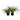 Fountain Grass - 2 pcs. - Pennisetum alopecuroides 'Hameln' - H20-30cm - ⌀23cm