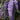 Summer lilac - 3 pcs. - Buddleja davidii - Height 25-40cm - ⌀9cm