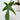 Sweetheart Plant - Philodendron 'Florida Green' - Height 20-30cm - ⌀12cm