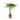 Money Tree Plant - Pachira aquatica - Height 60-70cm - ⌀17cm