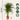 Areca palm 'Golden Cane' - Dypsis lutescens - Height 100-120cm - ⌀21cm