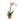 Moth orchid - Phalaenopsis - Height 50-60cm - ⌀12cm