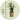 Calla 'Ruby' - White - Height 30-40cm - ⌀12cm