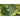 Lincolnshire Pond Plants Ltd - Nupar Lutea - Brandy Bottle - Native Yellow Water Lily - Potted - Marginal Pond Plants - Fish or Wildlife Pond and bog Aquatic Plants