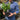 Nepeta Neptune 2L