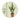 Snake Plant - Sansevieria trifasciata Laurentii - Height 60-70cm - ⌀17cm