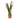 Snake plant - Sansevieria trifasciata Laurentii - Height 65-75cm - ⌀21cm