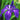Iris laevigata 'Royal Cartwheel'  - Marginal Pond Plants  - Pond Plants - Water Plants - MP327B