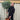 4ft / 5ft Spiral Stem Standard Bay Tree | Laurus nobilis | 110-120cm, 130-150cm