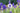 Aconitum Napellus 'Rubellum'