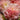 Alcea rosea 'Peaches & Dreams' - 2026
