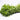 Alternanthera-Sessilis