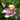Anemone hybrida 'Lorelei' - 2026