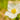Anemone sylvestris - 2026
