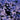 Aster 'Blaue Lagune' - 2026