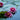 Nymphaea Attraction - 2026