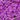 Aubretia hybrida axcent antique - Deep Purple 1.5L