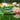 Nymphaea Barbara Dobbins - 2026